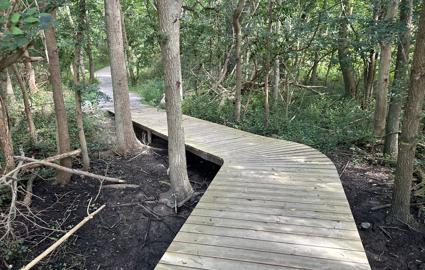 Billede af den boardwalk der er bygget på den 2,8 km lange natursti, som går fra udstillingscenteret i Rødbyhavn og ud til Pilen.
