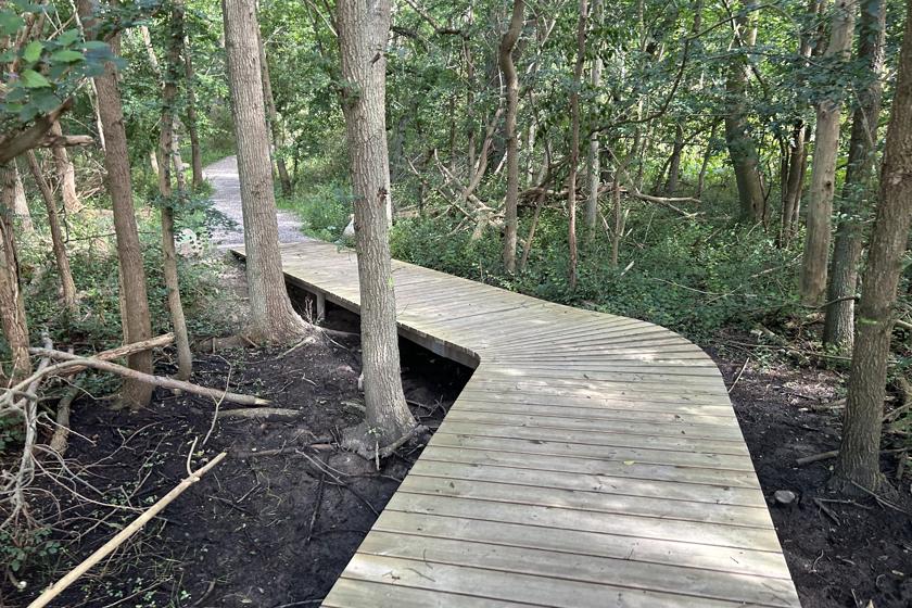 Billede af den boardwalk der er bygget på den 2,8 km lange natursti, som går fra udstillingscenteret i Rødbyhavn og ud til Pilen.